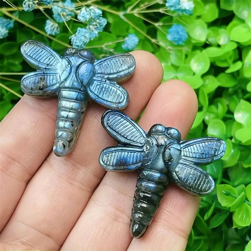 Natural Labradorite Dragonfly Carving Beautiful Jewelry Perfect For Home Office Tank  Decoration Yoga Meditation Gift Halloween